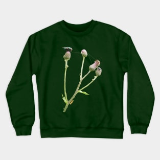 Three Insects On Flower Crewneck Sweatshirt